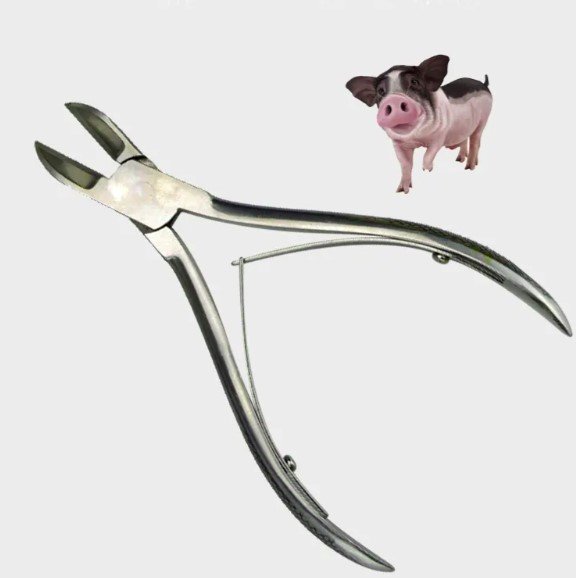 Related Product Image